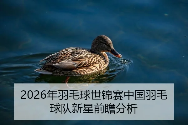 2026年羽毛球世锦赛中国羽毛球队新星前瞻分析