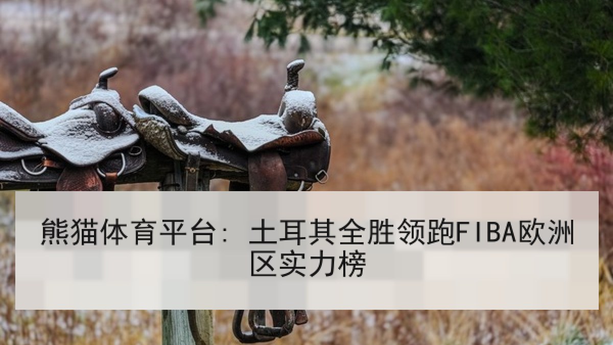 熊猫体育平台: 土耳其全胜领跑FIBA欧洲区实力榜 熊猫体育平台: 土耳其全胜领跑FIBA欧洲区实力榜