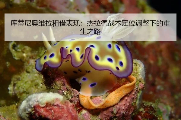 ku-di-ni-ao-wei-la-zu-jie-biao-xian-jie-la-de-zhan-shu-ding-wei-tiao-zheng-xia-de-chong-sheng-zhi-lu-2-709.jpg