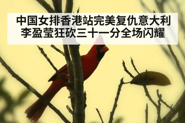 中国女排香港站完美复仇意大利李盈莹狂砍三十一分全场闪耀